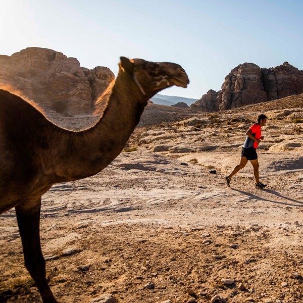 Maraton desierto de Petra
